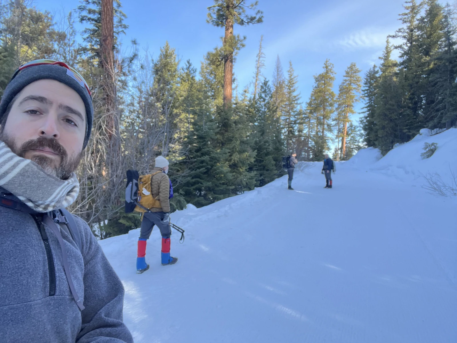 A winter outing with friends on a snowy path among evergreen trees.